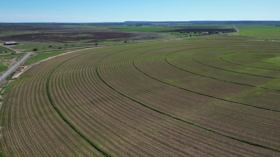 0 Bedroom Property for Sale in Douglas Rural Northern Cape